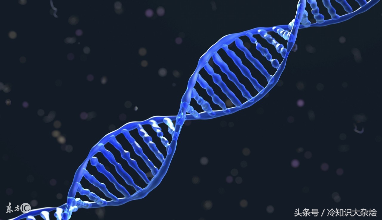 南大碎尸案跟2016年有啥联系,南大碎尸案还在侦破中么