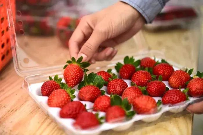 五彩田园富玉农场10月份采摘,玉林五彩田园富玉农场