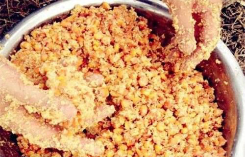 推荐一款好用的鲫鱼窝料配方,三分钟发窝鲫鱼窝料配方