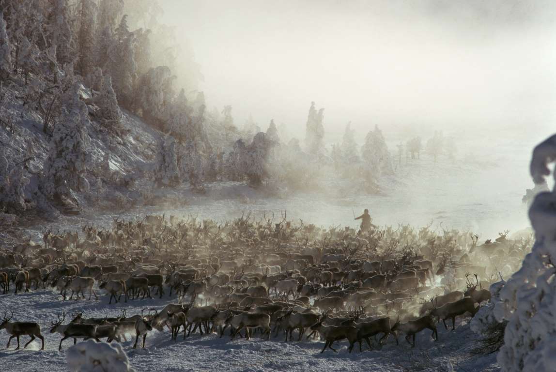 世界上最冷的小镇奥伊米亚康图片,奥伊米亚康地球上最冷的地方