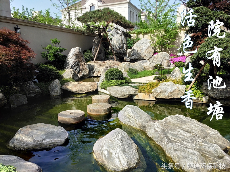 庭院鱼池放泥巴怎么保证水不浑,庭院小型鱼池消毒后怎么养水