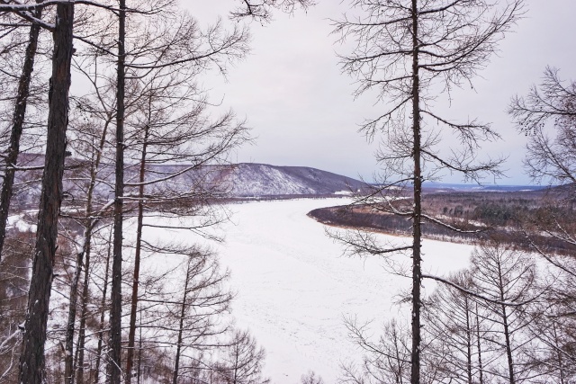 「新年目的地推荐一」金鸡之巅，边境梦雪，一路向北