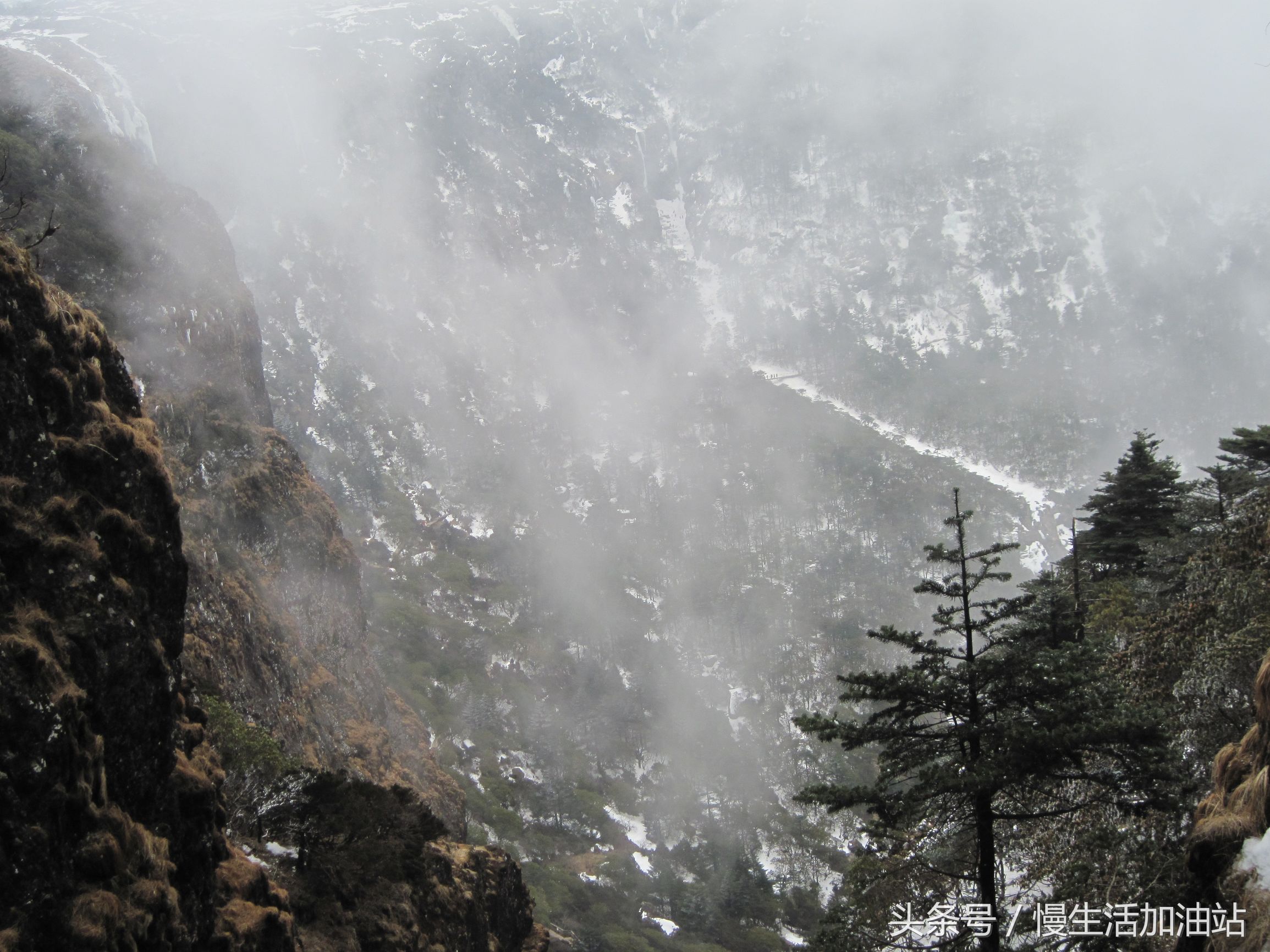 滇中轿子雪山风景区,滇中雪山