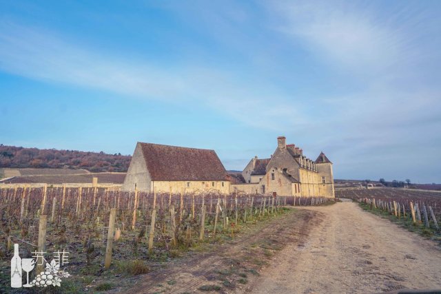 勃艮第和波尔多哪个好喝,勃艮第和波尔多酒杯