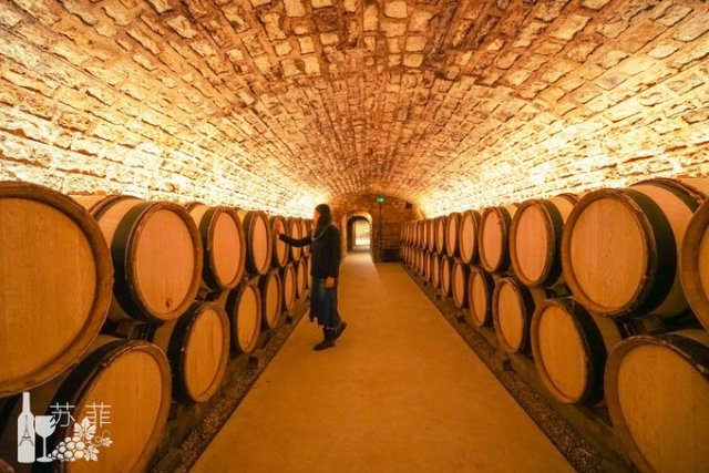 勃艮第和波尔多哪个好喝,勃艮第和波尔多酒杯