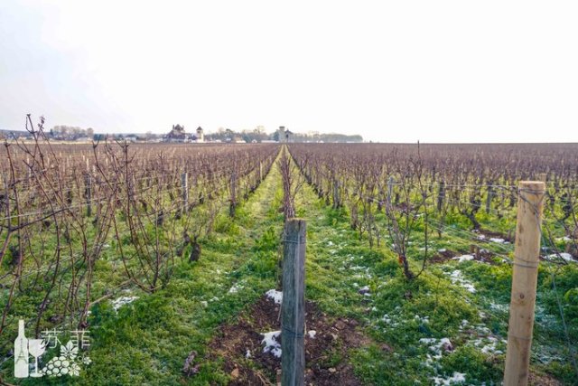 勃艮第和波尔多哪个好喝,勃艮第和波尔多酒杯