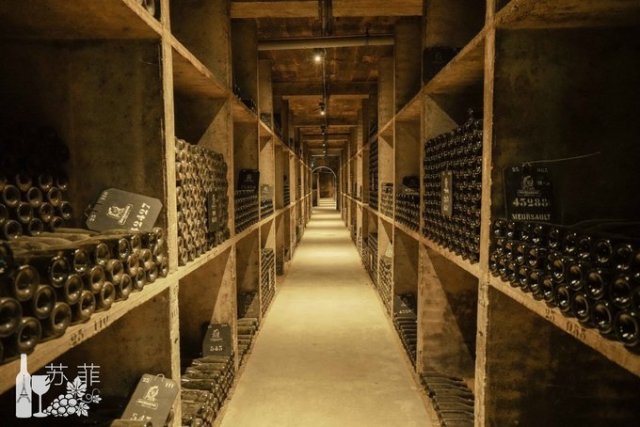 勃艮第和波尔多哪个好喝,勃艮第和波尔多酒杯