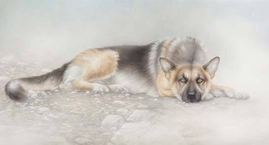 诗句关于狗,《狗》的诗词