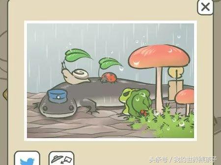 旅行青蛙攻略论如何正确养蛙,旅行青蛙如何让小蛙回来
