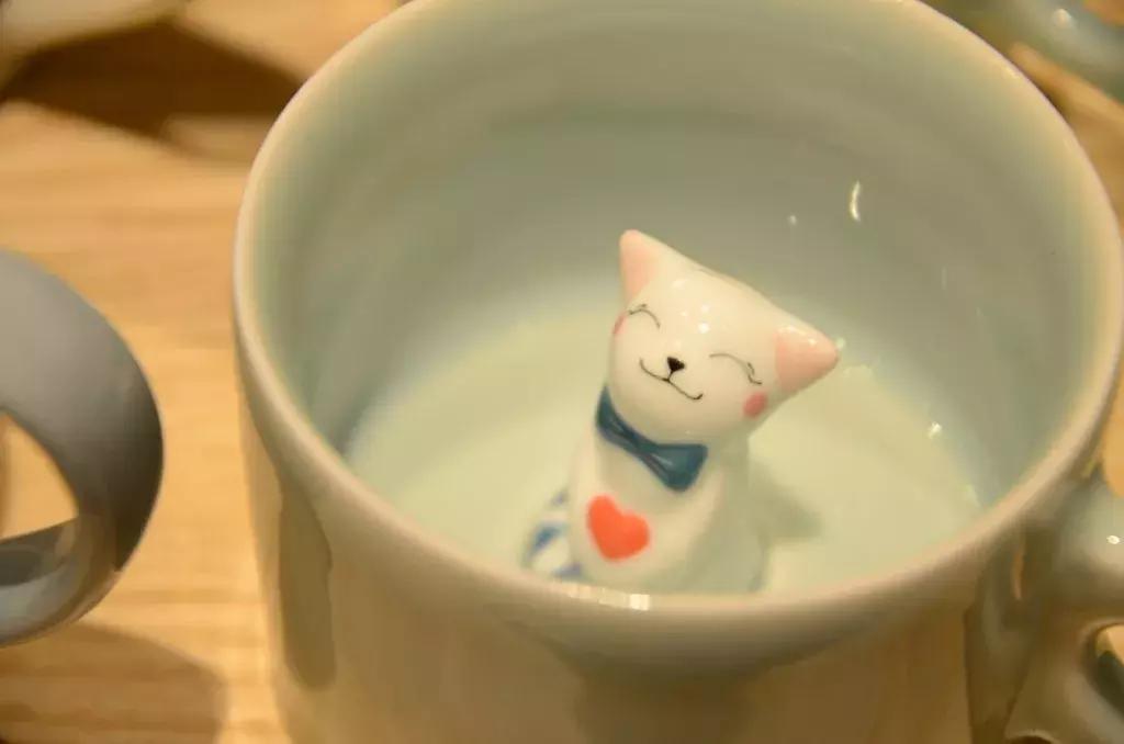 杭州可以撸猫的店,杭州撸猫地方推荐