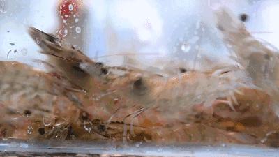 娉夊窞甯傚尯鍝簺姣旇緝濂界殑娴烽矞閰掓ゼ,娉夊窞娴烽矞缇庨鎺掕姒滃墠鍗佸悕