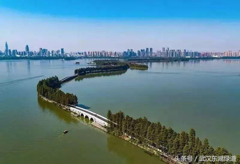 百里绿道的视频,百里芳华绿道