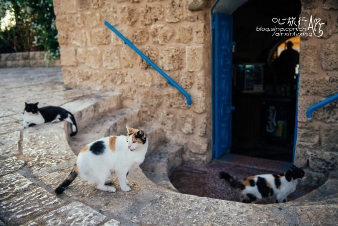 以色列三千年历史,以色列穿越时空项目