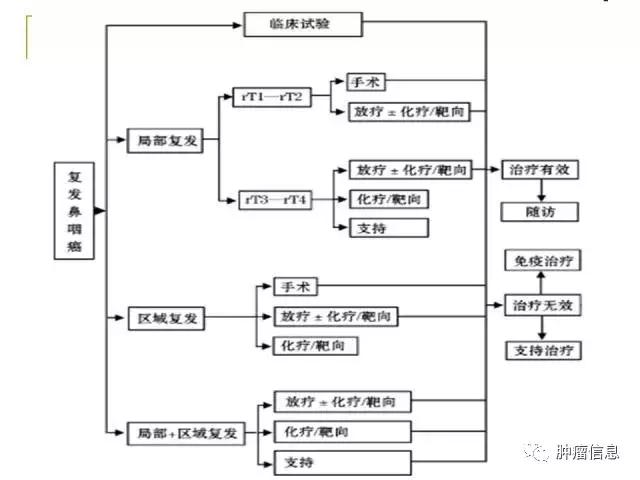 质子放疗治疗鼻咽癌要多少钱,鼻咽癌质子重离子放疗