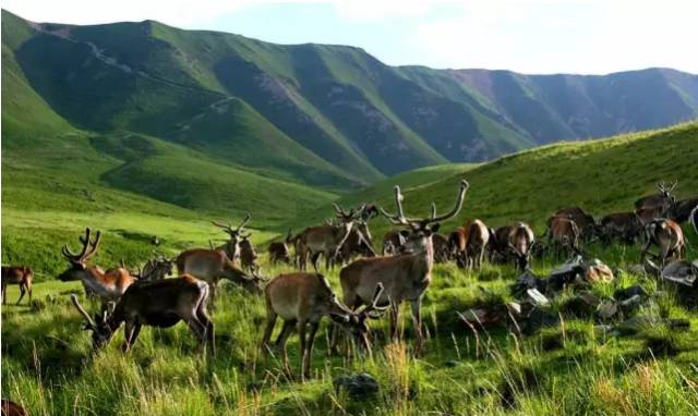 别去*藏西**了！从石家庄坐火车只有6站，天空之镜就在眼前！