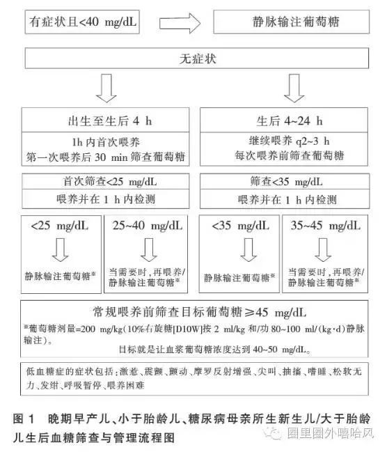 手撕新生儿低血糖的谣言|曾有一个新生儿……