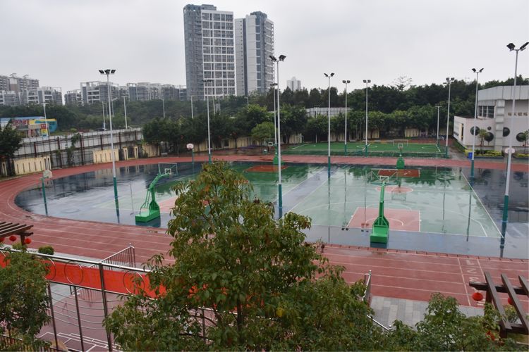 学生成长的沃土师生眷恋的乐园一一八桂绿城小学2017年工作汇报