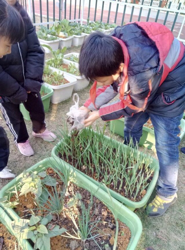 学生成长的沃土师生眷恋的乐园一一八桂绿城小学2017年工作汇报