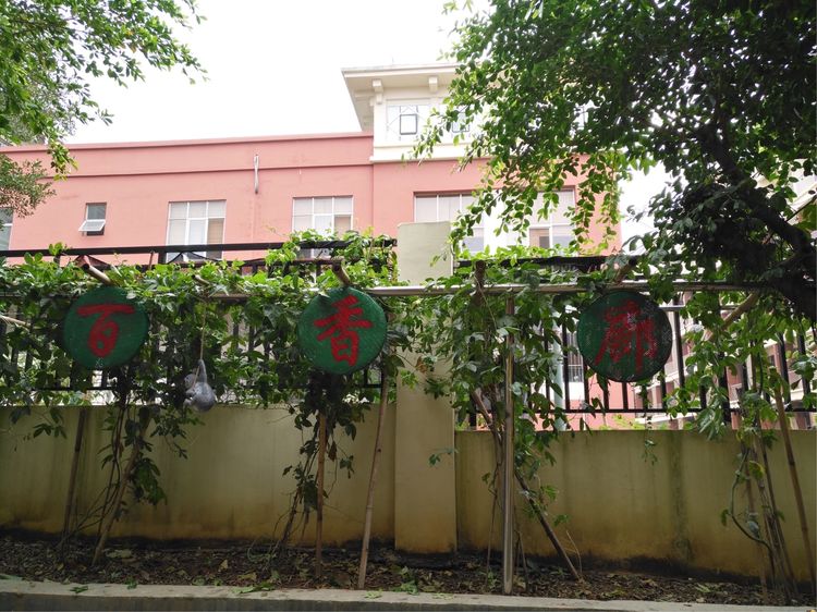 学生成长的沃土师生眷恋的乐园一一八桂绿城小学2017年工作汇报