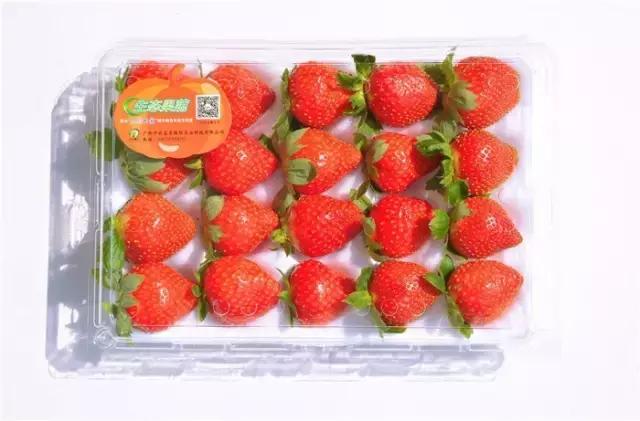 五彩田园富玉农场10月份采摘,玉林五彩田园富玉农场