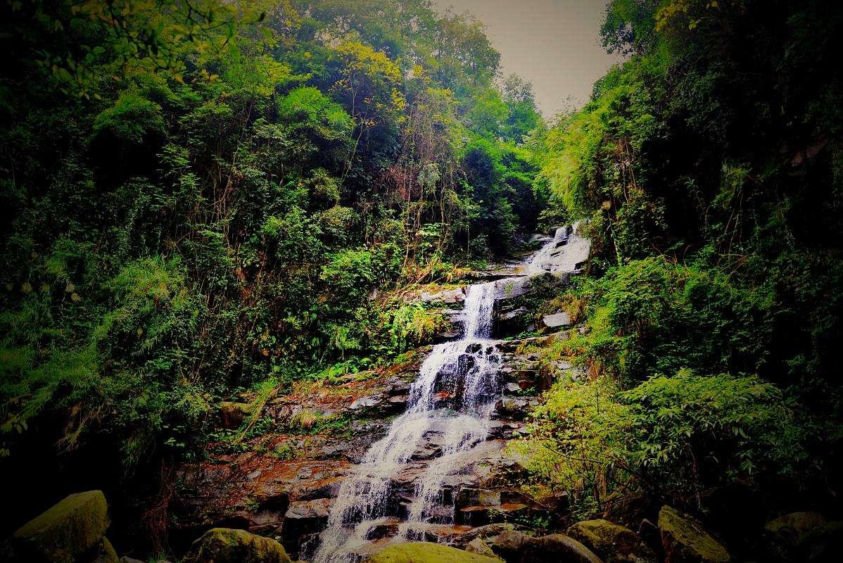 唐诗七言绝句大全500首,唐诗励志五言绝句大全