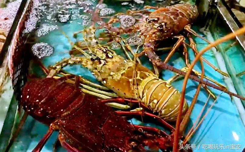 路林海鲜市场螃蟹,海头海鲜批发市场螃蟹