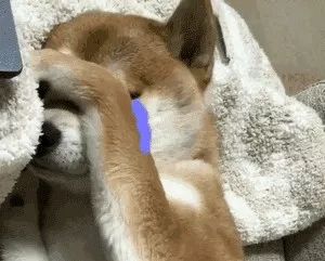 十款最好用的卸妆水,十大好用的卸妆产品