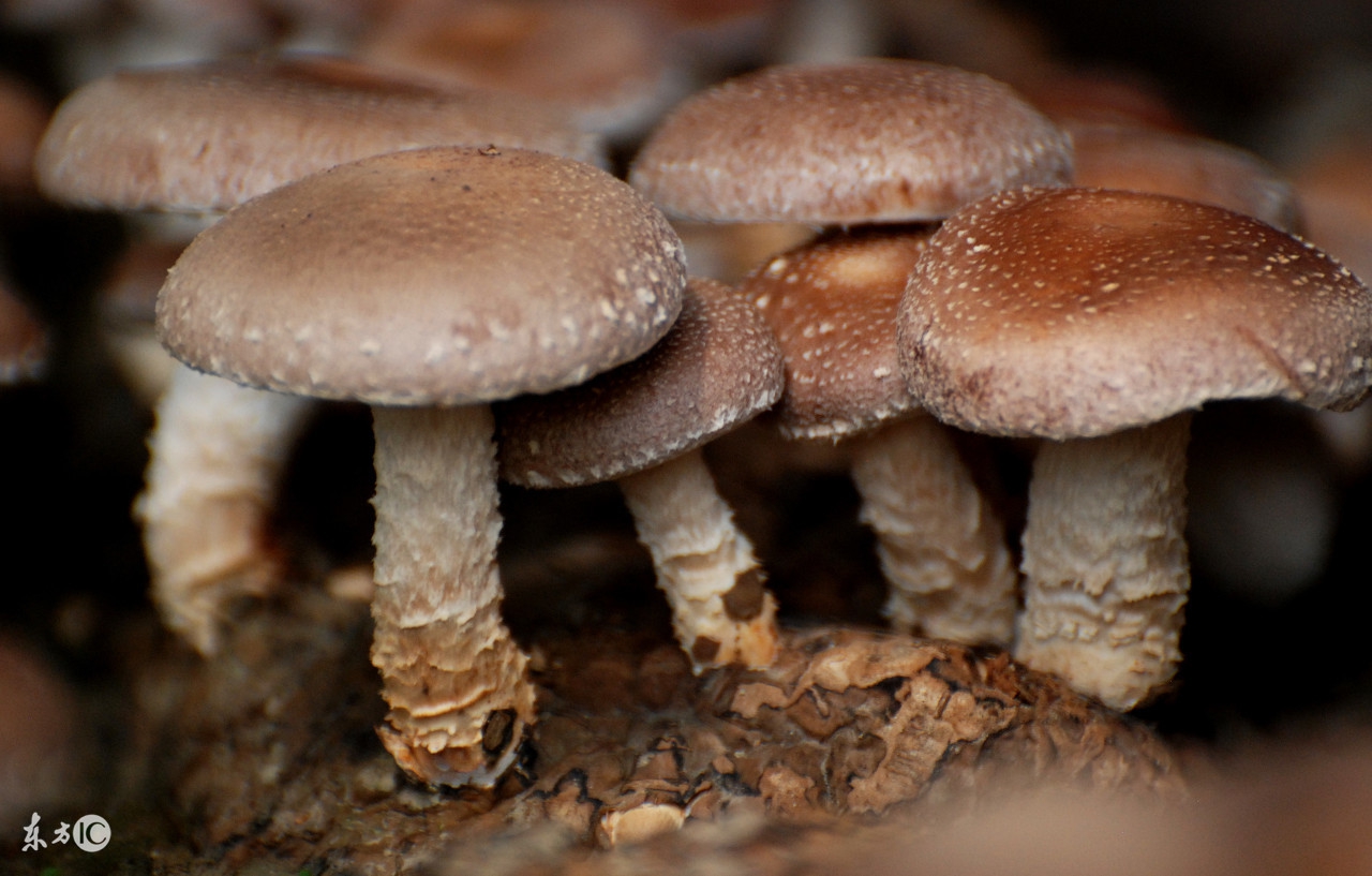 梦到财运方向,预示破财的梦有哪些