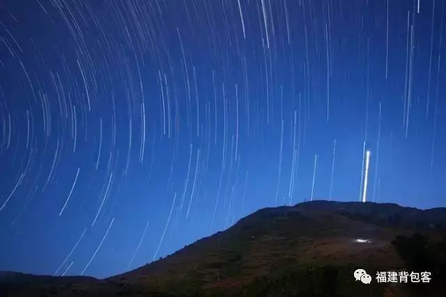 你们养的蛙现在回家了吗,养的蛙都去哪里了