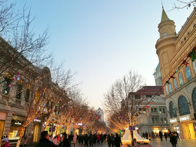 「新年目的地推荐一」金鸡之巅，边境梦雪，一路向北
