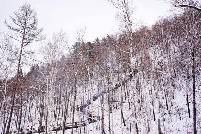 「新年目的地推荐一」金鸡之巅，边境梦雪，一路向北