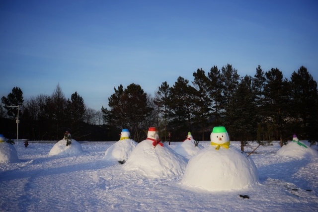 「新年目的地推荐一」金鸡之巅，边境梦雪，一路向北