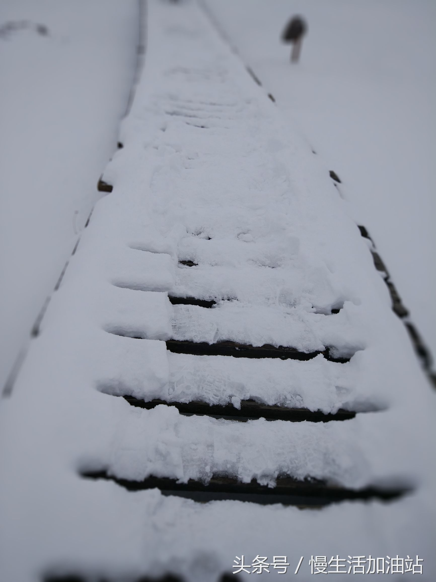 滇中轿子雪山风景区,滇中雪山