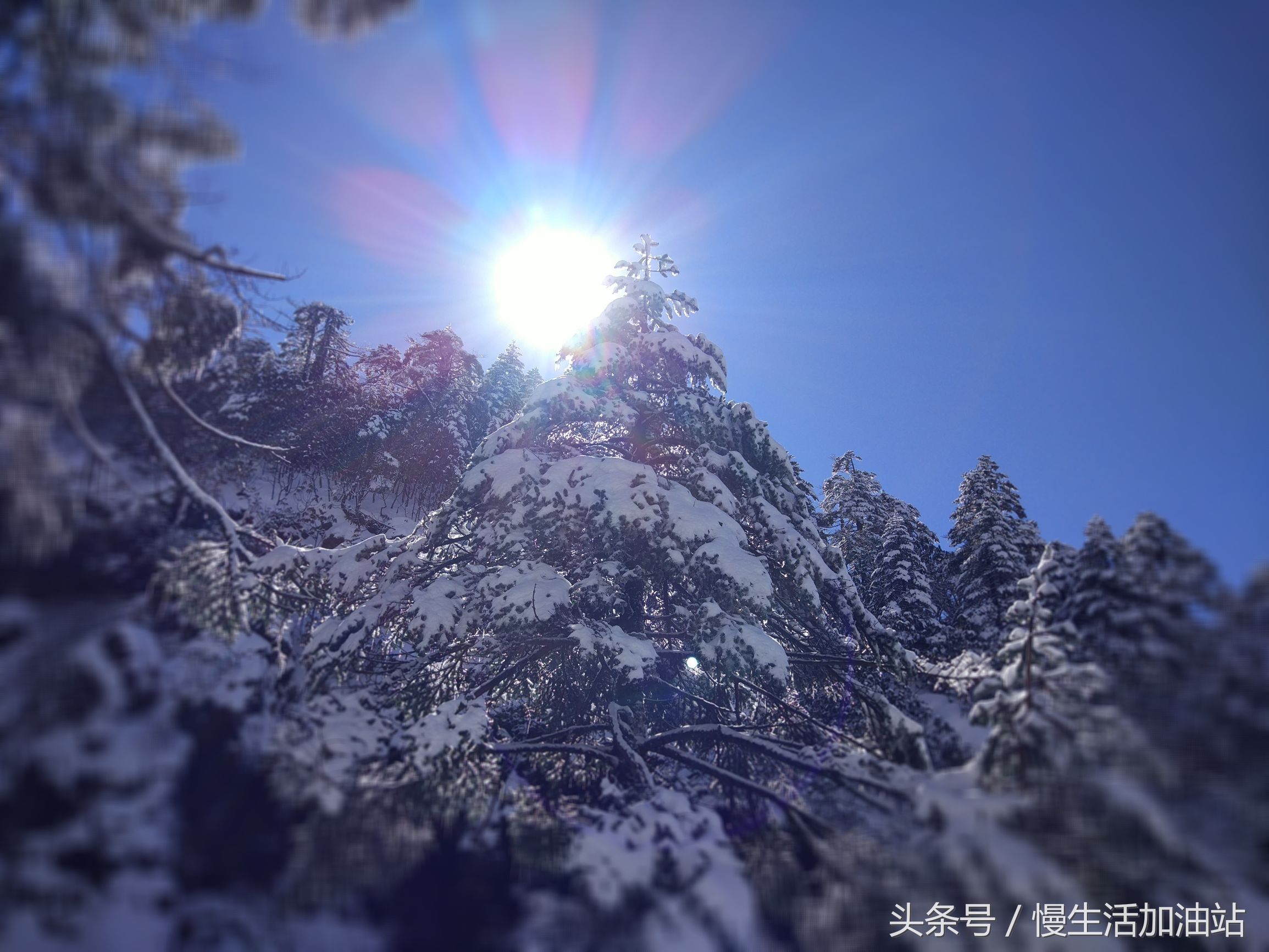 滇中轿子雪山风景区,滇中雪山