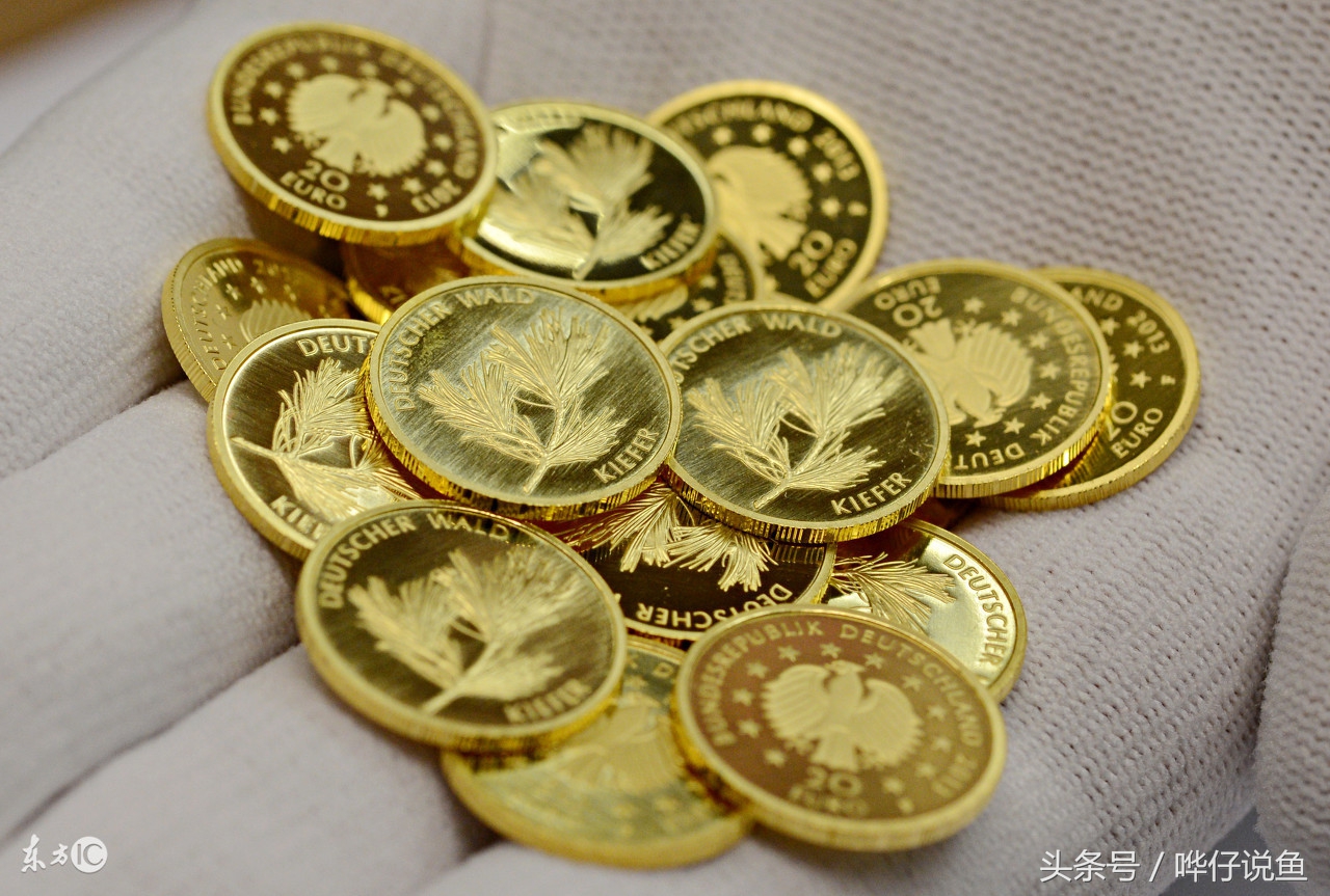 开一个小的水族店需要多少钱,开一家生态鱼缸店要多少钱