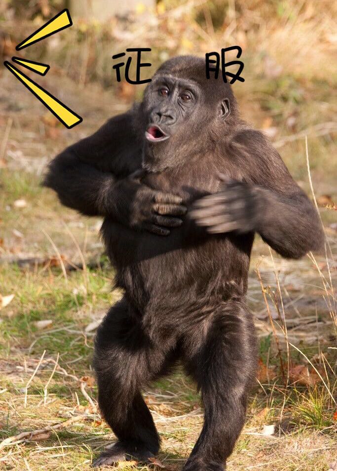 今日颜值主题：女汉纸的痛你们不懂，烦心的小胡子其实很容易去除