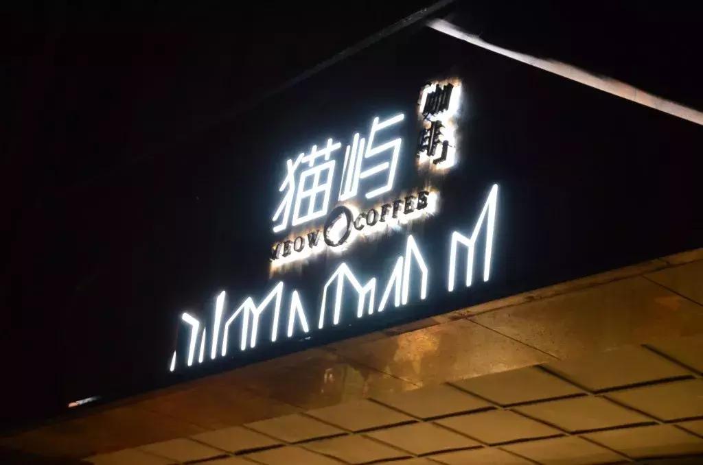 杭州可以撸猫的店,杭州撸猫地方推荐