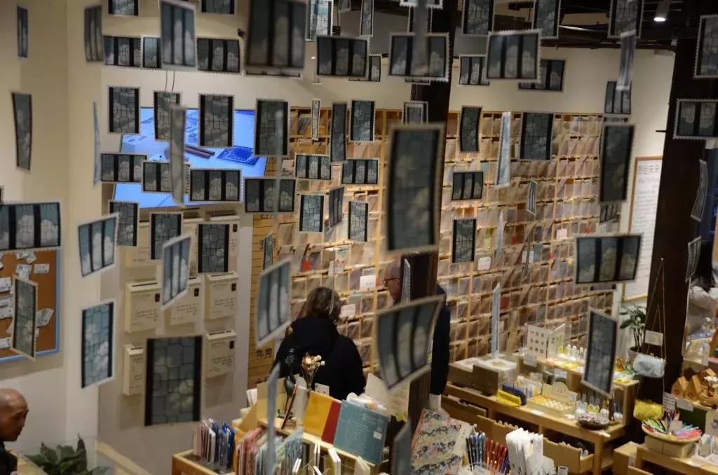 杭州可以撸猫的店,杭州撸猫地方推荐