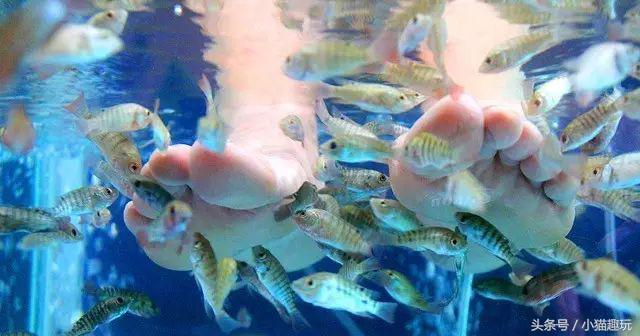 广东清远市英德奇洞温泉度假村,英德望埠奇洞温泉度假门票2021