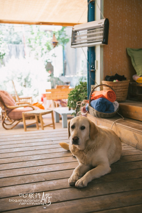 以色列三千年历史,以色列穿越时空项目