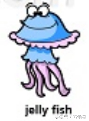 30个动物英语单词视频,动物的英语单词常见100个