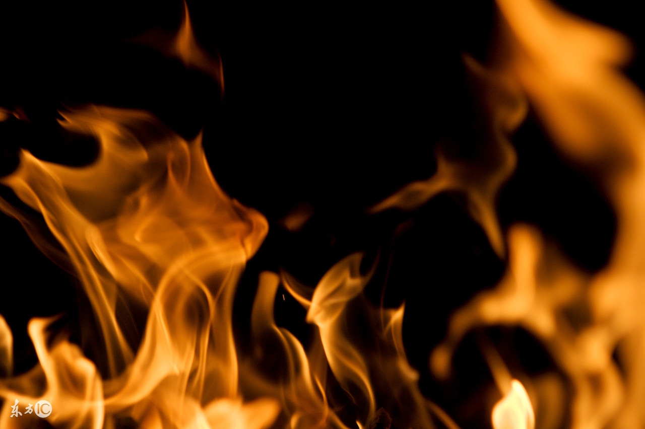 猫咪受伤露出骨头怎么急救,猫咪身上突然出现外伤怎么处理