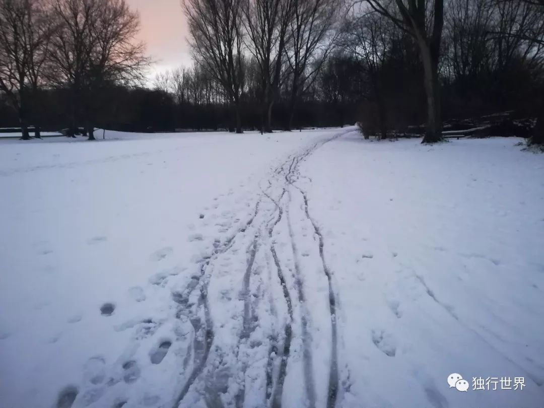 当你还在为生活抱怨,当你还在抱怨生活不易的时候