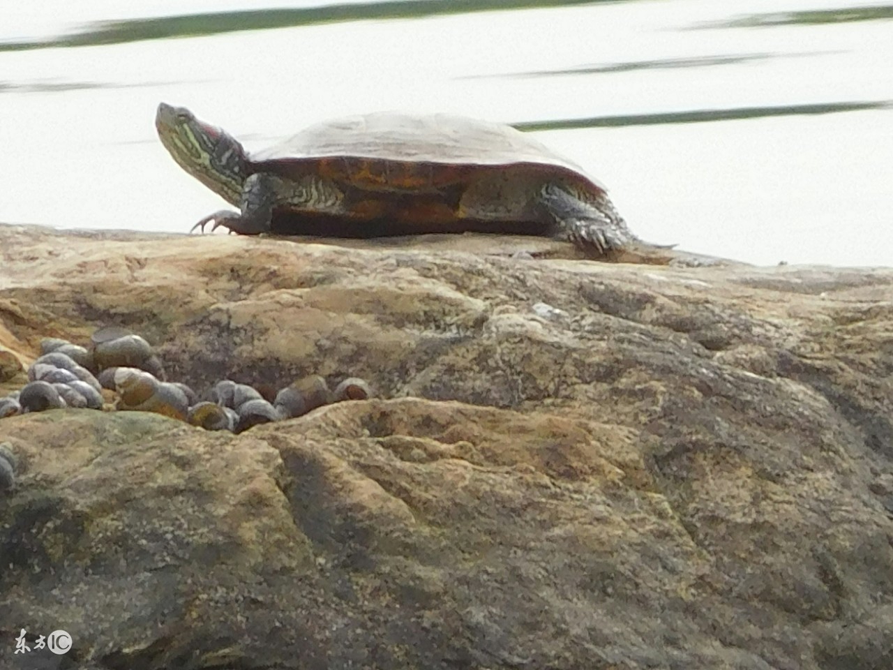 梦到财运方向,预示破财的梦有哪些