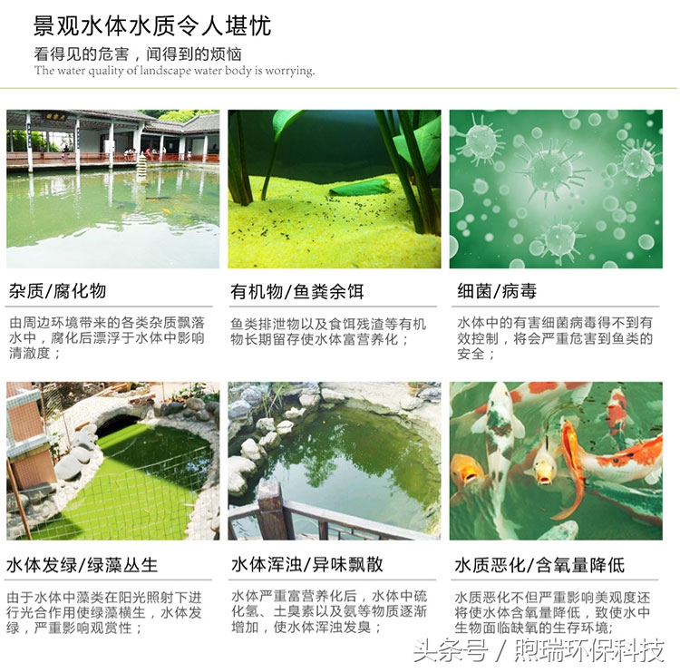 庭院鱼池放泥巴怎么保证水不浑,庭院小型鱼池消毒后怎么养水