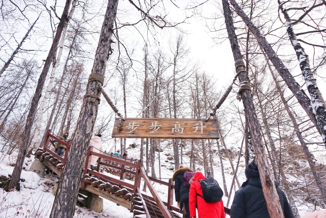 「新年目的地推荐一」金鸡之巅，边境梦雪，一路向北