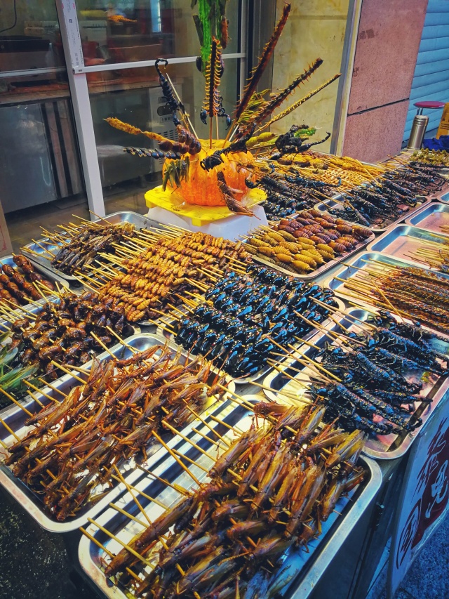 「新年目的地推荐一」金鸡之巅，边境梦雪，一路向北