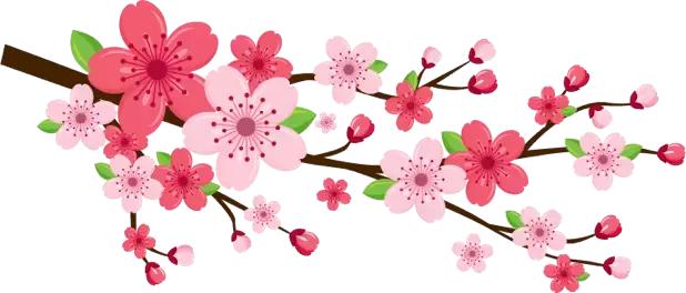 免费吃杀猪菜,吃免费的杀猪饭