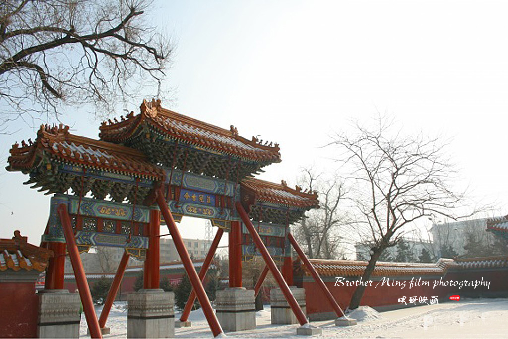哈尔滨文庙要门票吗,哈尔滨文庙开放吗