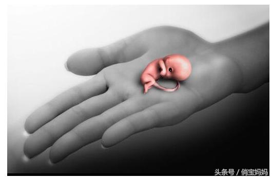 有了宝宝却不能要的心情,有了宝宝如何省钱